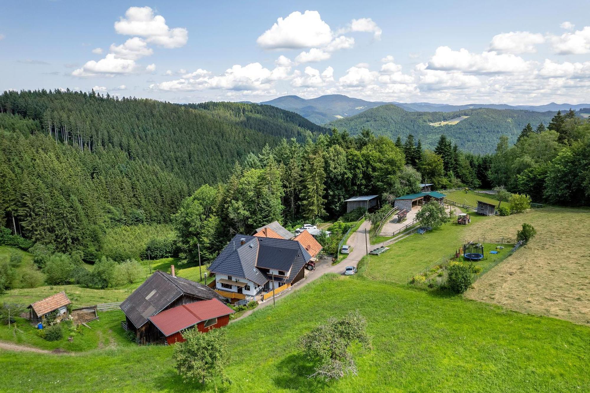 Ferien Auf Der Fleischdielte Muehlenbach ภายนอก รูปภาพ