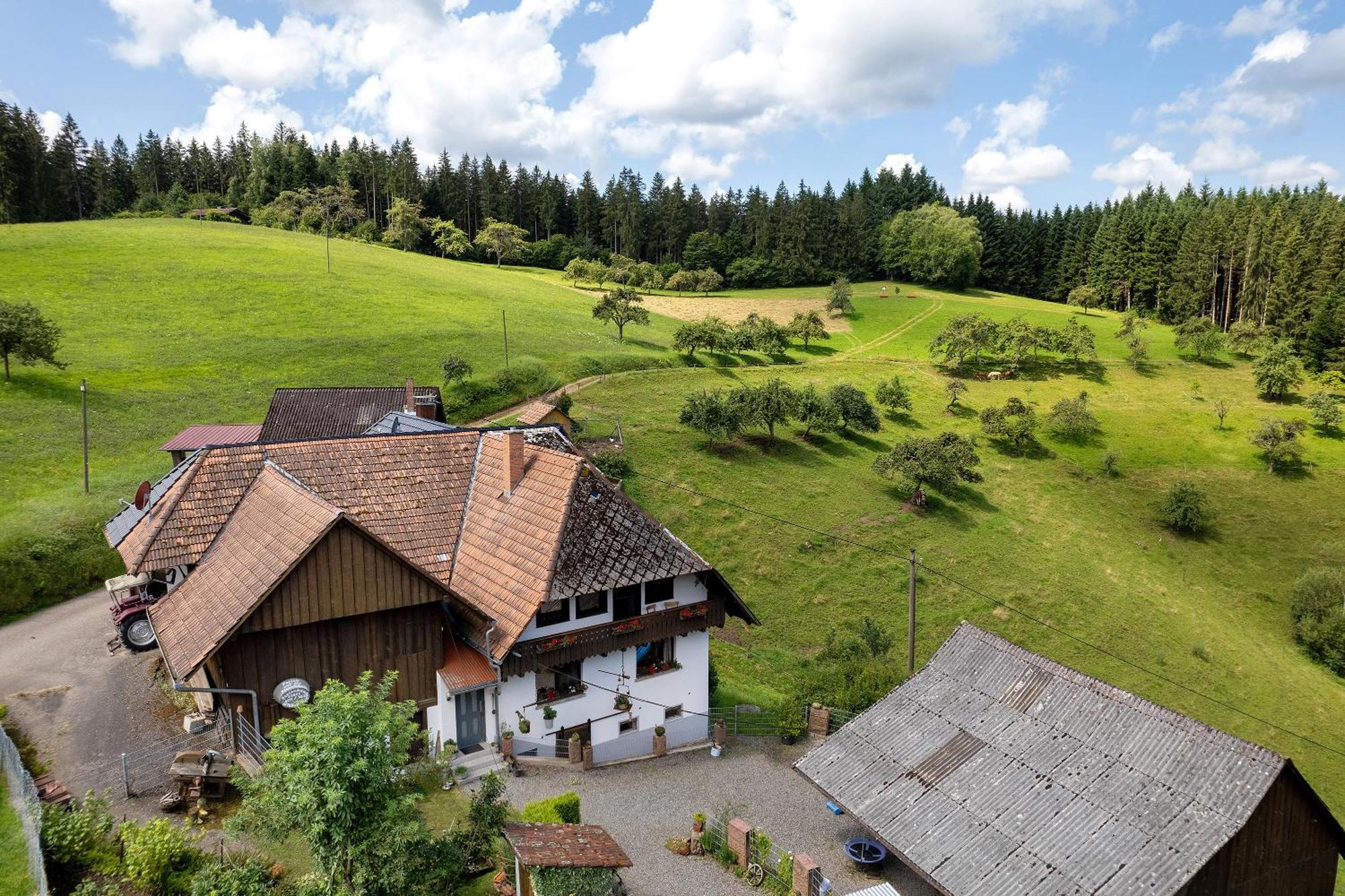Ferien Auf Der Fleischdielte Muehlenbach ภายนอก รูปภาพ